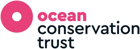 ocean charity organizations|Ocean Conservation Trust .